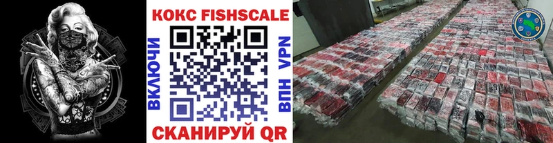 COCAIN Fish Scale  купить наркоту  Кизилюрт 