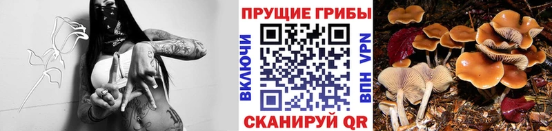Галлюциногенные грибы мицелий  МЕГА сайт  Кизилюрт  даркнет сайт 