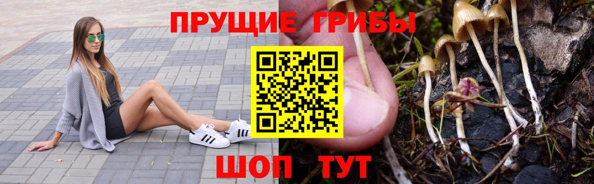 Кизилюрт  Галлюциногенные грибы MAGIC MUSHROOMS  Псилоцибиновые грибы GOLDEN TEACHER  Вход с VPN 